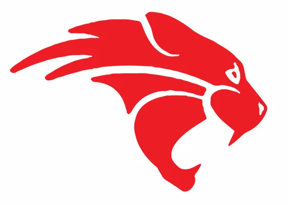 red wild cat